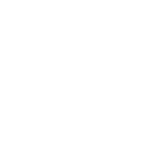 L & T logo 