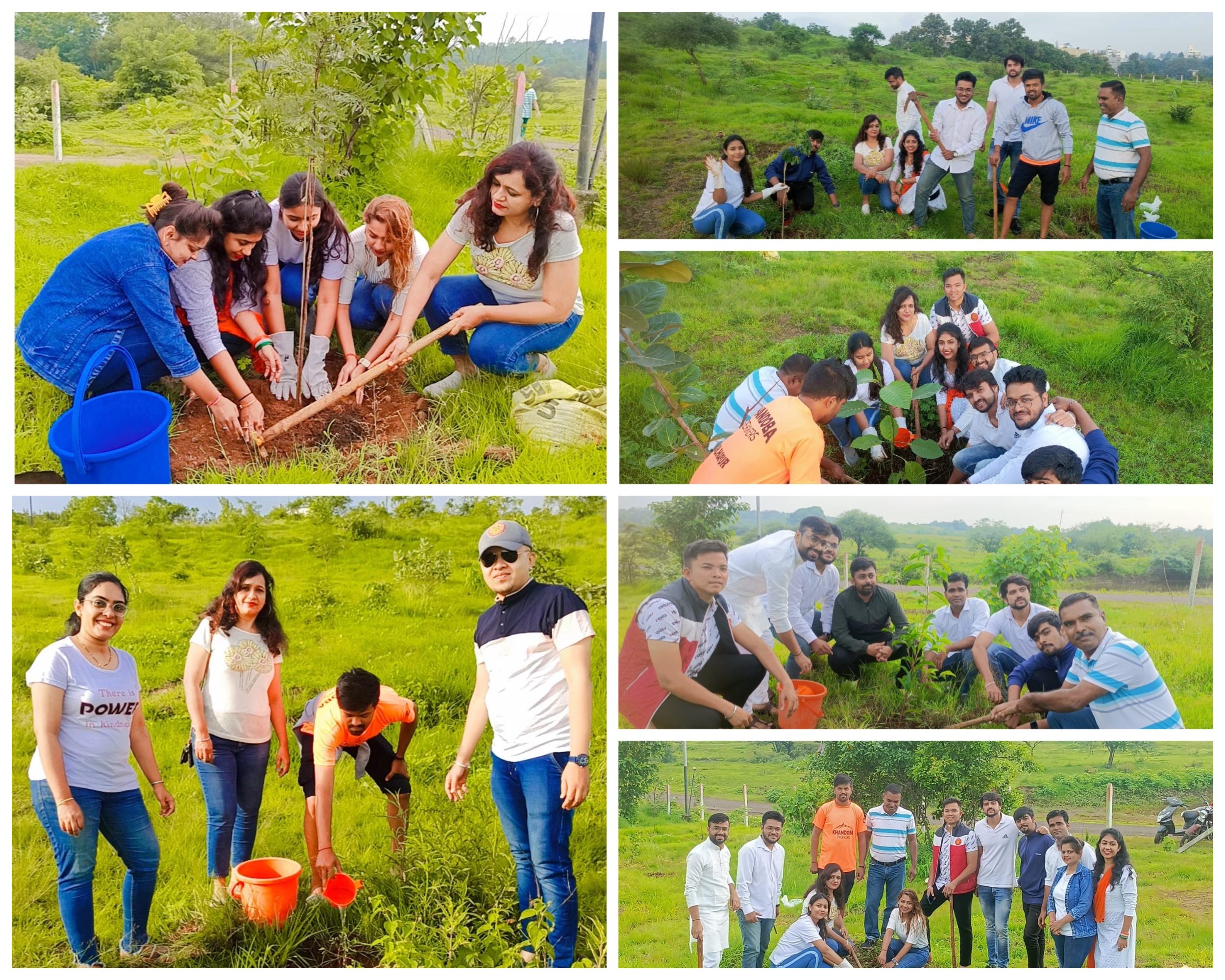 Tree plantation 2023