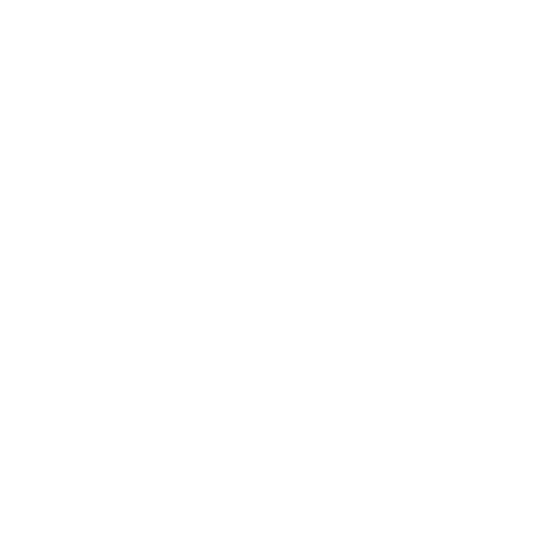 The times of india logo